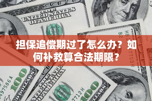 济南担保追偿期过了怎么办？如何补救算合法期限？